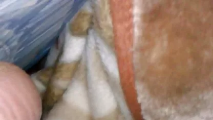 Sexy, chica caliente Amara Romani xxx colegiala peruana se la follan en la mañana temprano